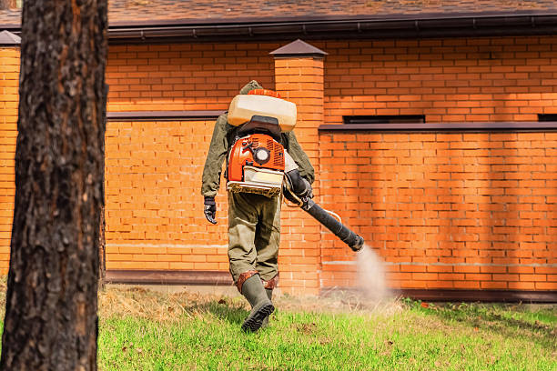 Top rated local Mosquito Control specialists in Mills River, NC